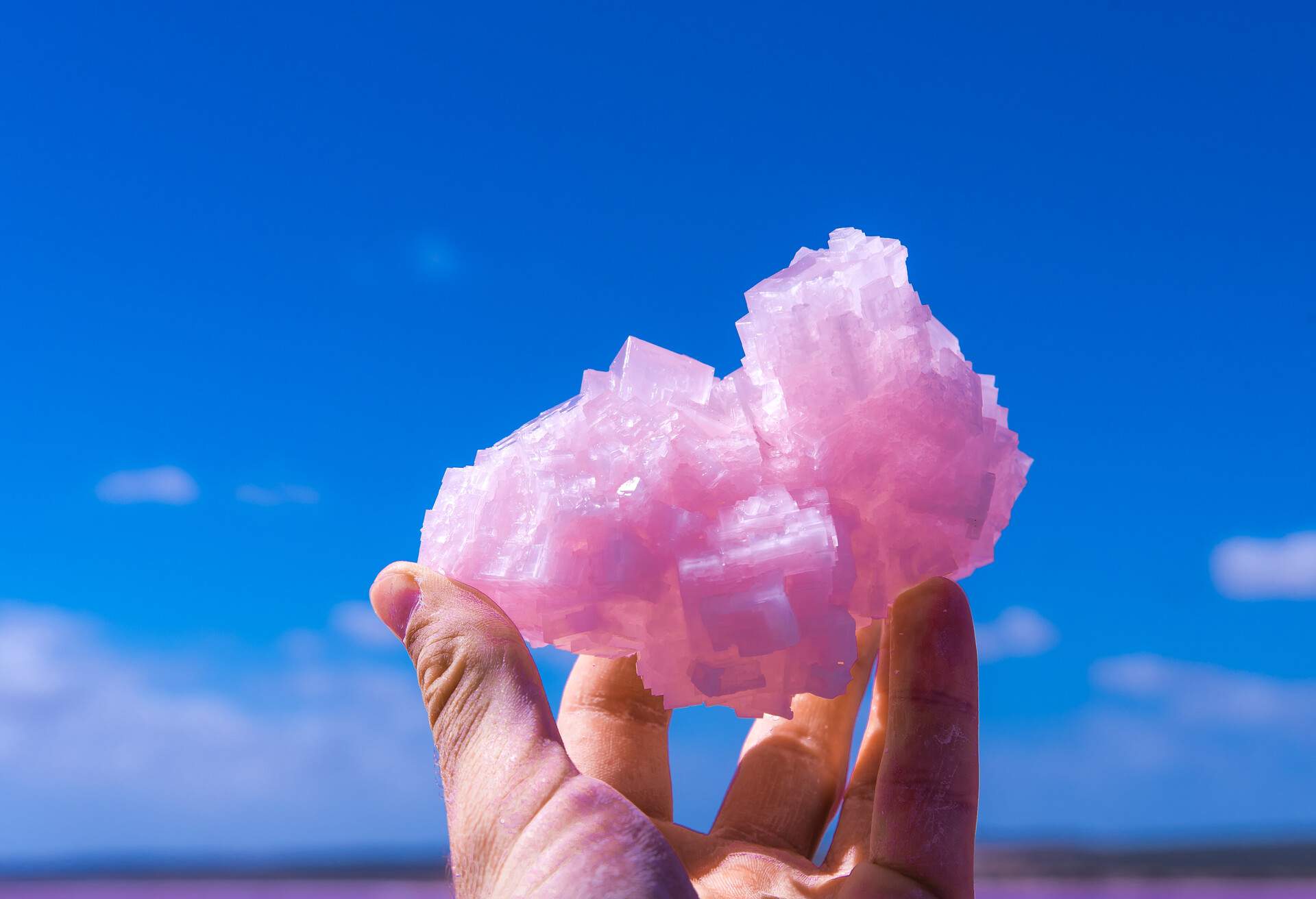 7 Pink Lakes in Australia that everyone must visit once | KAYAK