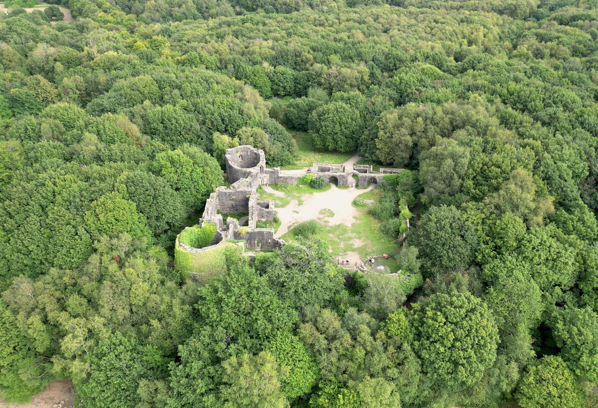 Beautiful ruins of a castle in the middle of a green forest