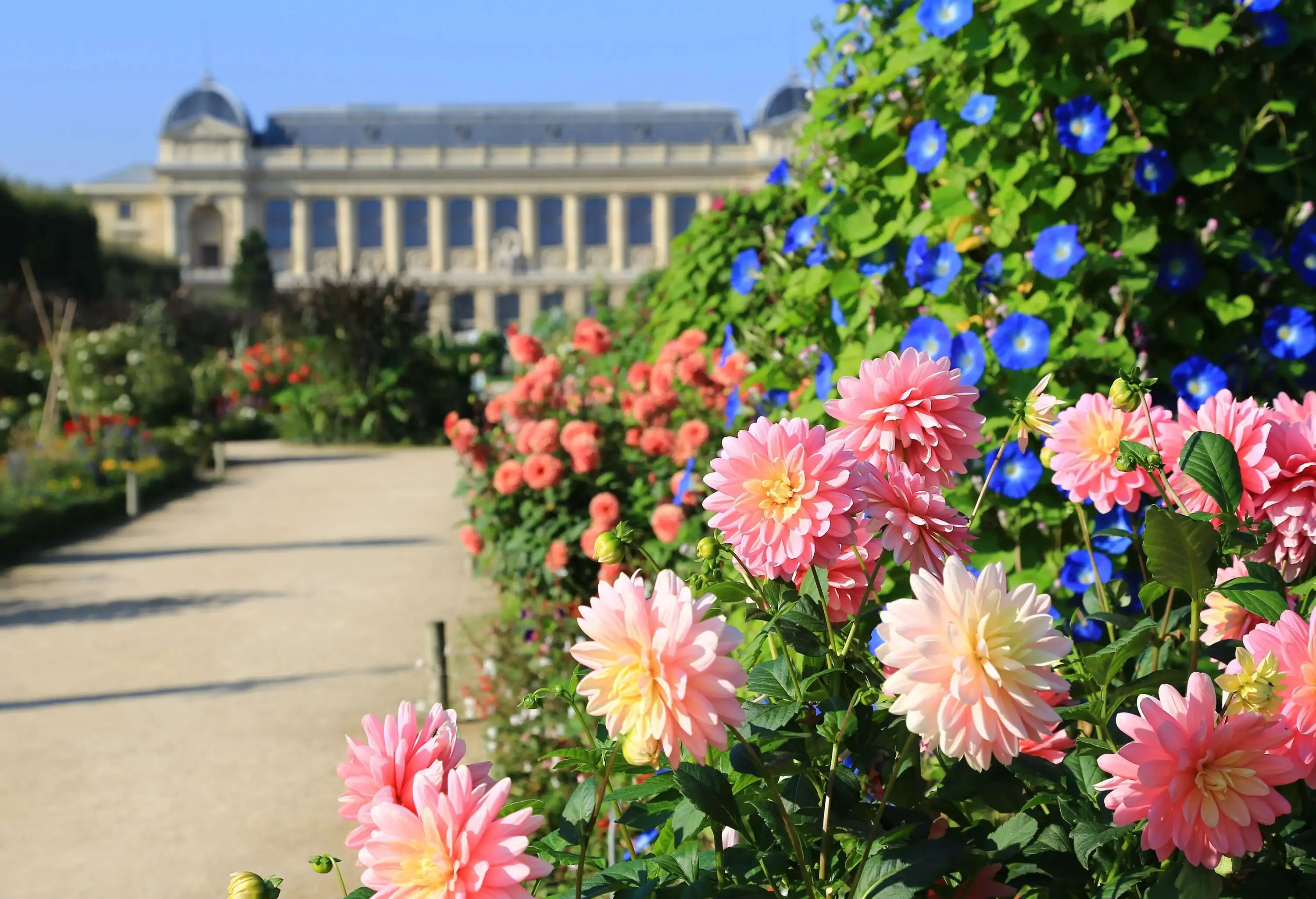 Museum garden with pink, blue, and red flowers.